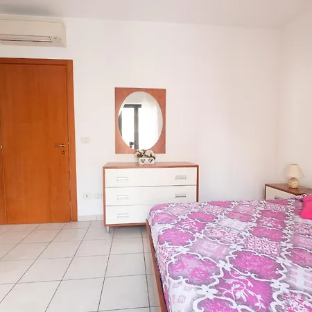 Ficus 3 - * 皮内托