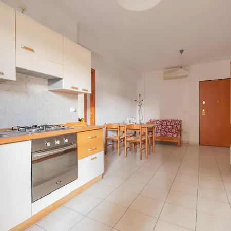 Ficus 3 - * 皮内托