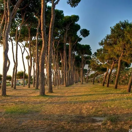Appartement Ficus 3 -