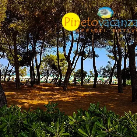 Appartement Ficus 3 - *