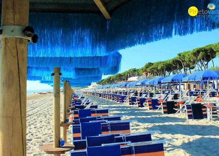 Ficus 3 - Διαμέρισμα