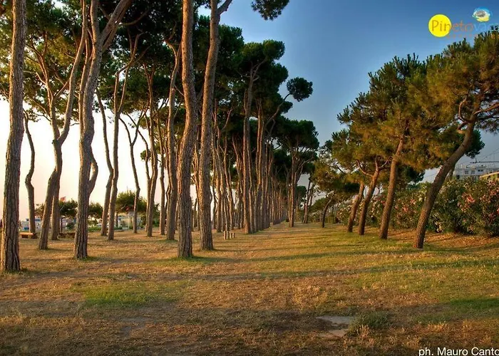 Διαμέρισμα Ficus 3 -